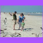 Feeding the Birds 3.jpg